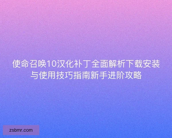 使命召唤10汉化补丁全面解析下载安装与使用技巧指南新手进阶攻略
